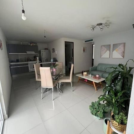 Departamento En Coyoacan เม็กซิโกซิตี้ ภายนอก รูปภาพ